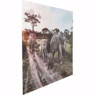 Image sur Elefant Family Glass
