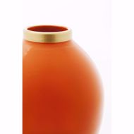 图片 Zebra Vase
