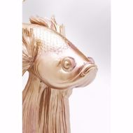 Image sur Gold Betta Fish - Large