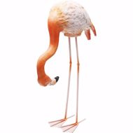 Image sur Flamingo Road