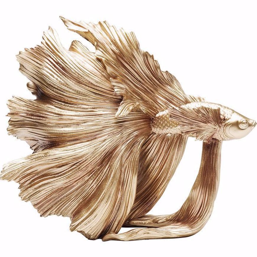 图片 Gold Betta Fish - Small