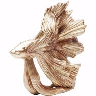 Image sur Gold Betta Fish - Small