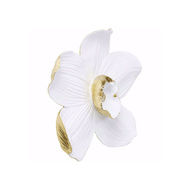 图片 Orchid 54 Wall Decoration - White