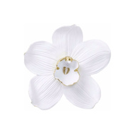 Image sur Orchid 25 Wall Decoration - White