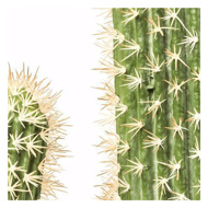 Picture of Cactus Pot Deco Plant 170cm