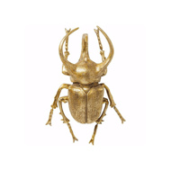 Image sur Atlas Beetle Wall Decoration - Gold