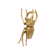 Image sur Atlas Beetle Wall Decoration - Gold