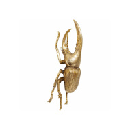 图片 Herkules Beetle Wall Decoration - Gold