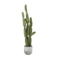 Image sur Cactus Pot Deco Plant 202