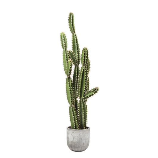 Image de Cactus Pot Deco Plant 202