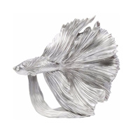 图片 Silver Betta Fish - Small