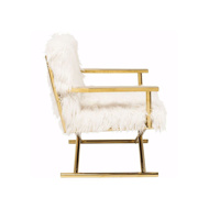 Picture of Mr. Fluffy Armchair