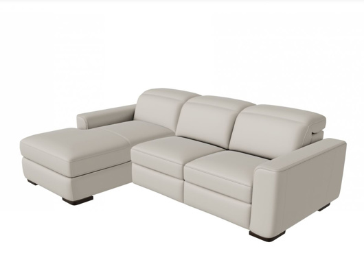 Picture of Diesis Sectional
