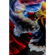 Image sur GLASS PICTURE COLORFUL SWARM FISH
