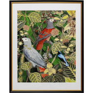 Image sur Framed Picture Birds in Jungle