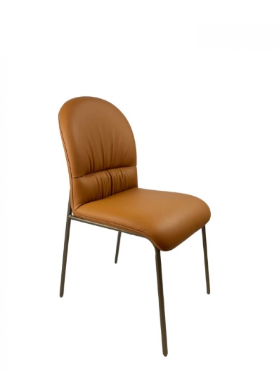 Picture of Leather Dining Chair - Orange 